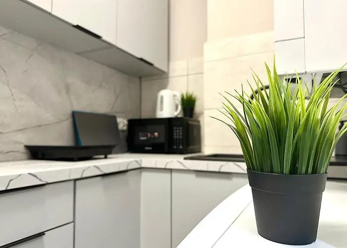 Mmrent Pink Fusion ホームステイ